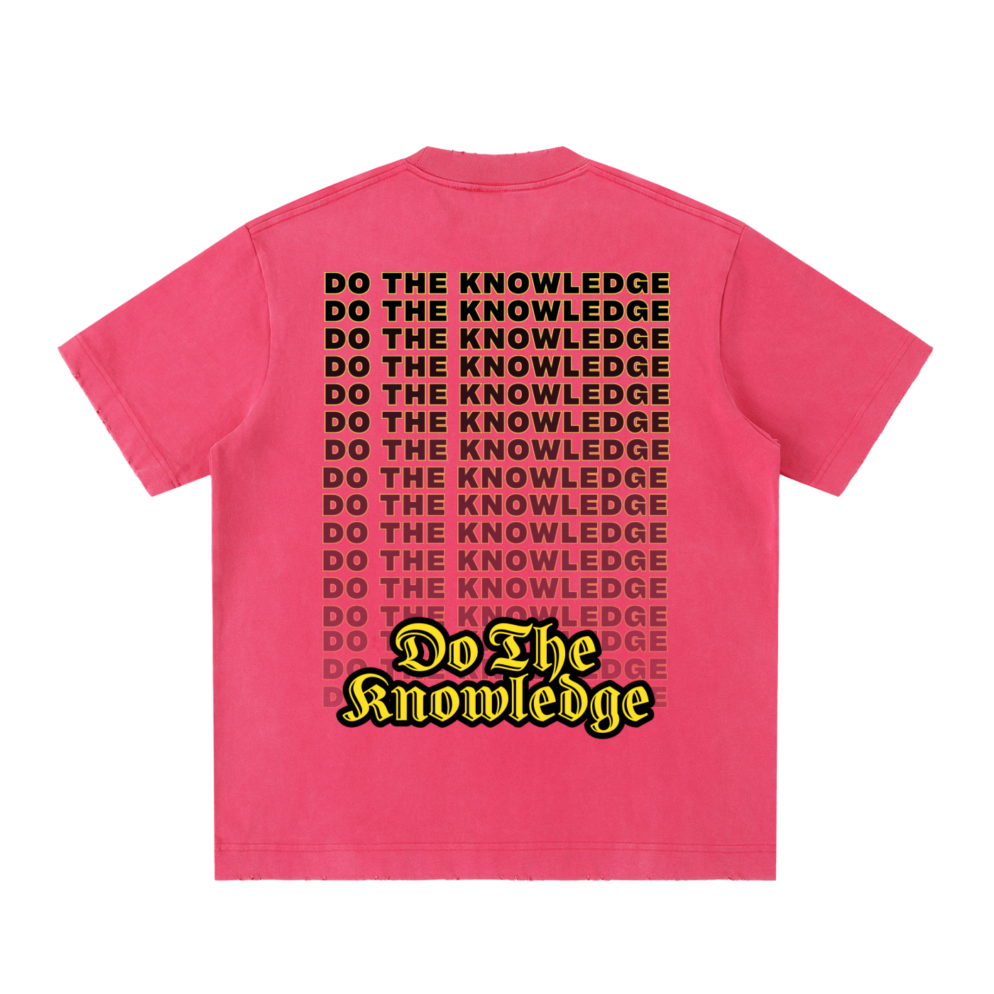 Do The Knowledge - Vintage Washed Frayed Tee